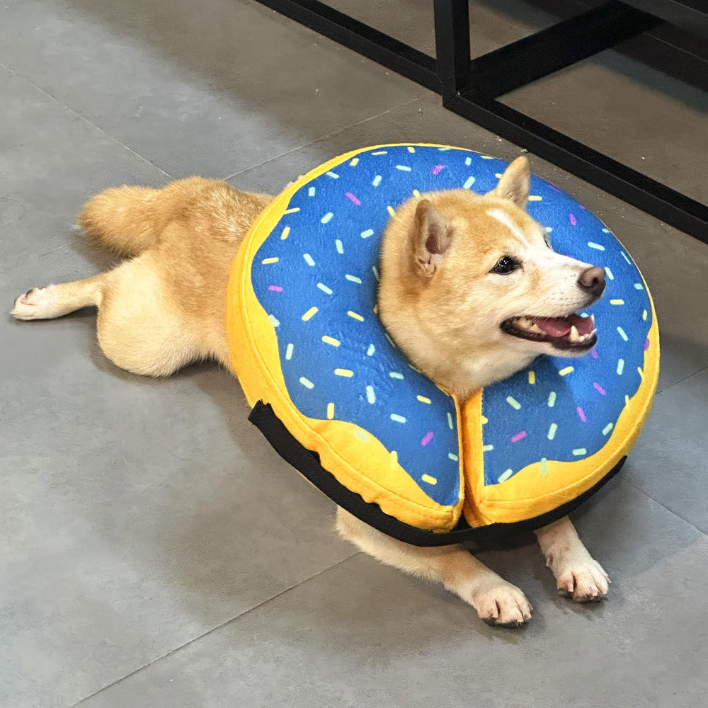 Katoggy cono inflable talla L para cuellos de 15 a 18 pulgadas