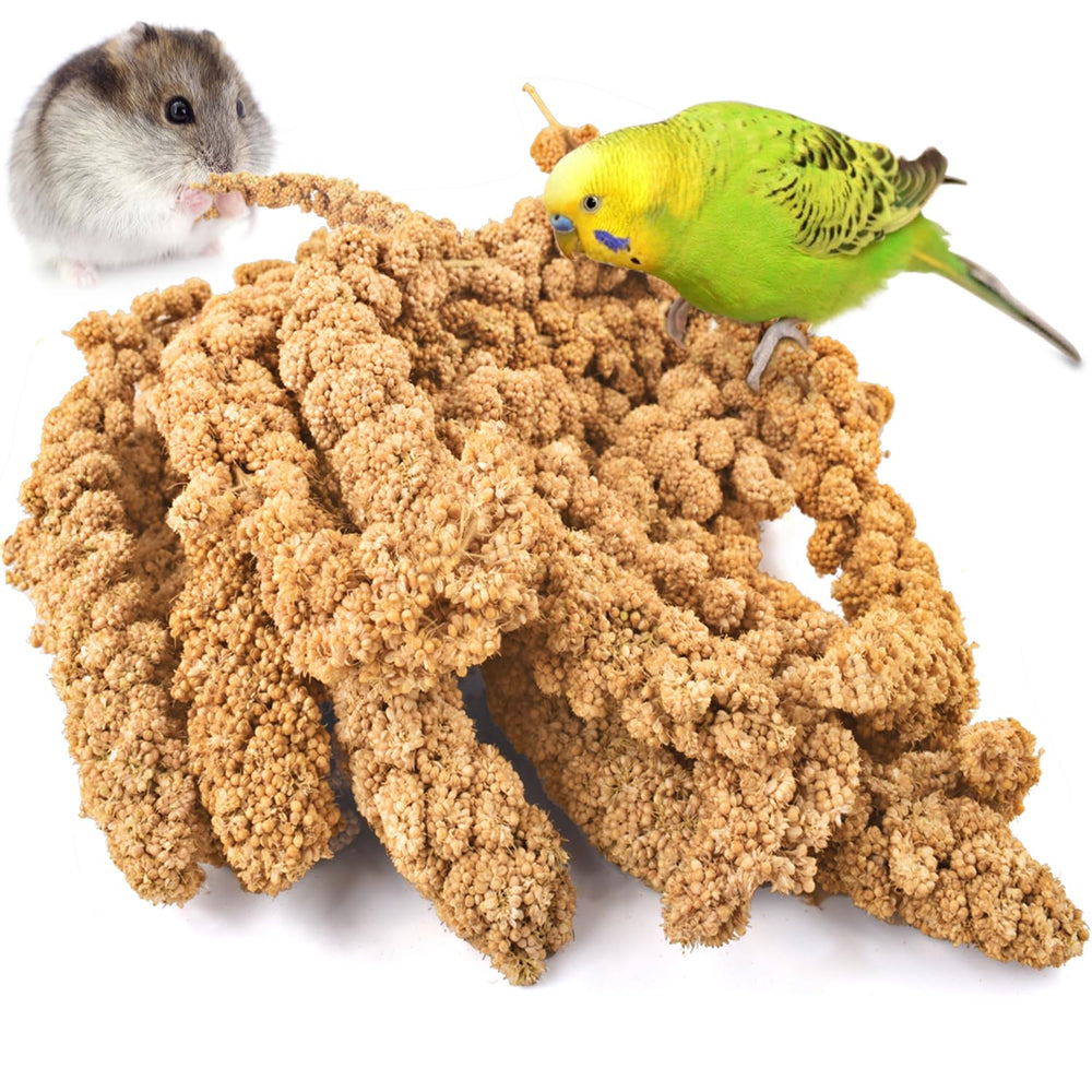 KATUMO mijo espolvoreado en envase 1,1 lb, snack natural para aves.