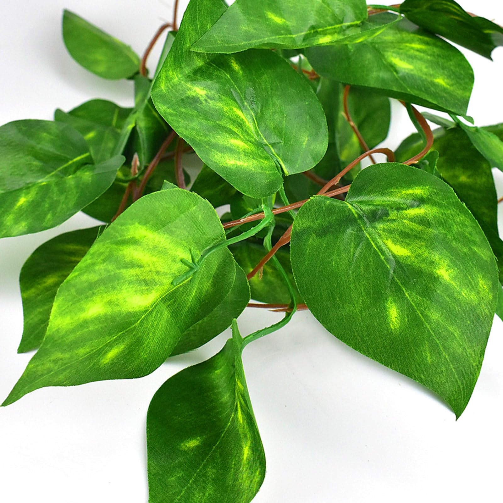 KATUMO plantas colgantes de novedad, idea decorativa para reptiles y anfibios.