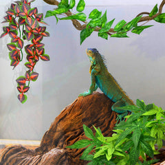 KATUMO planta decorativa para terrario con rama verde, añade refugio y color.