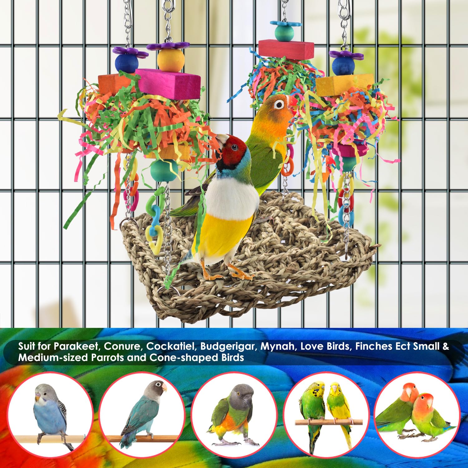 KATUMO superficie 6x6 pulgadas, columpio elevado para aves pequeñas.