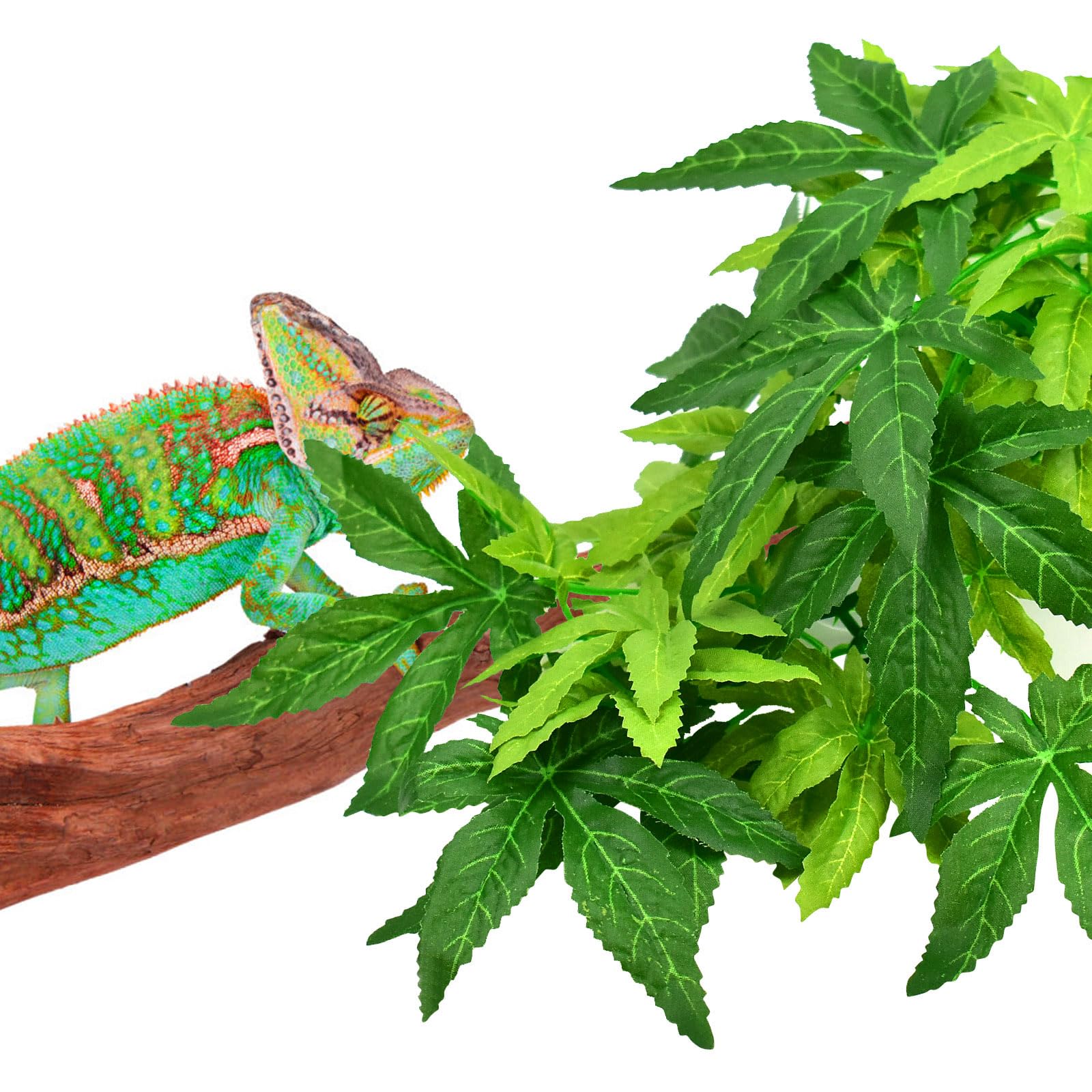 KATUMO vegetación artificial para acuarios y terrarios, facilita mantenimiento.