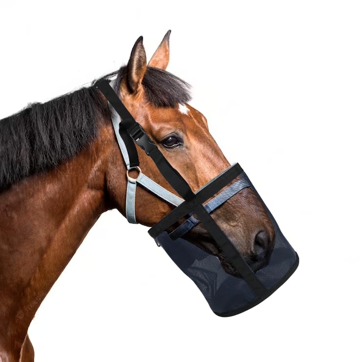 Conjunto de dos bolsas Kaulhp para caballos, tamaño mediano