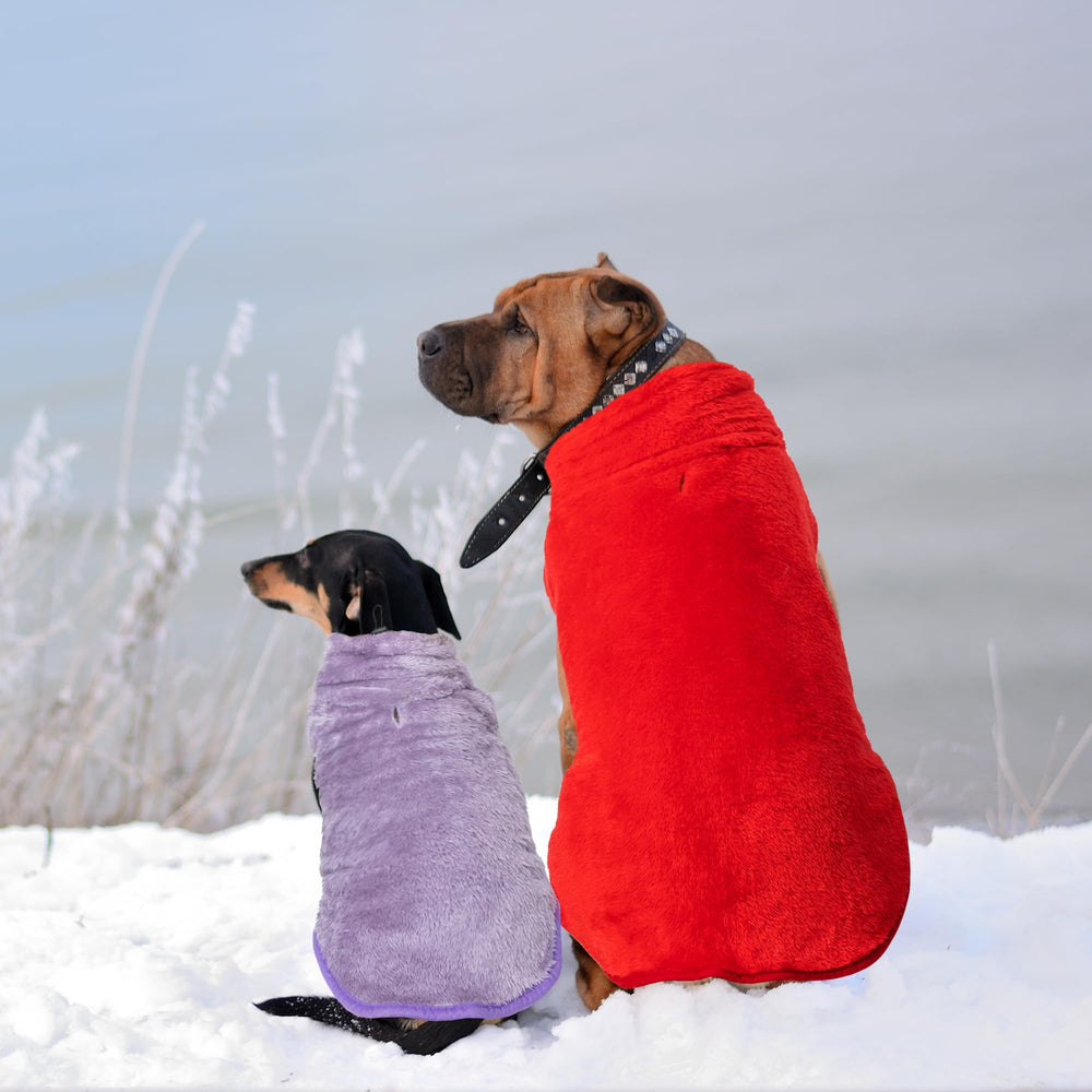 KAYCOWZA Cazadora para perro frío lavable a máquina para limpieza rápida