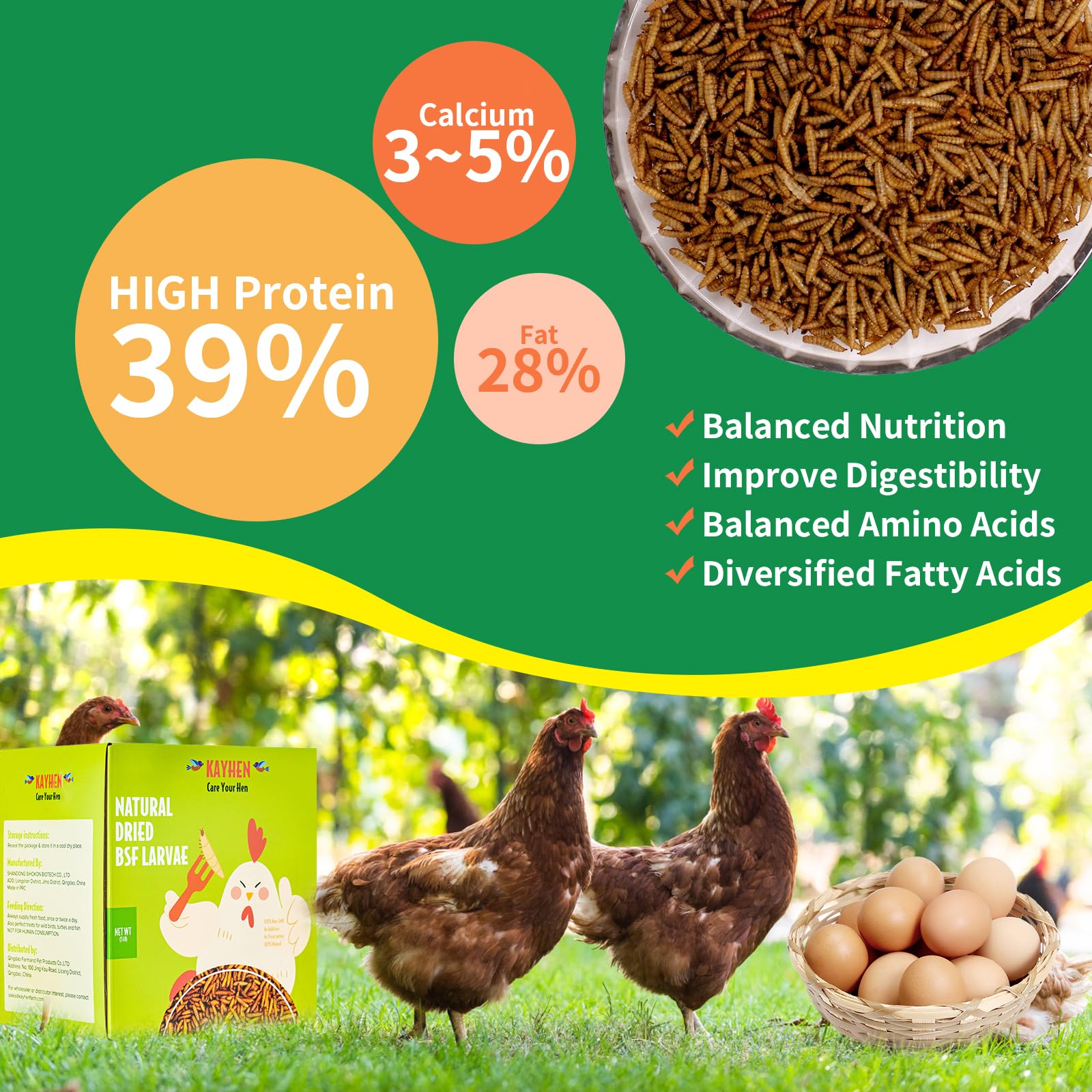 KAYHEN larvas secas cultivo orgánico, alimento sostenible para aves silvestres.
