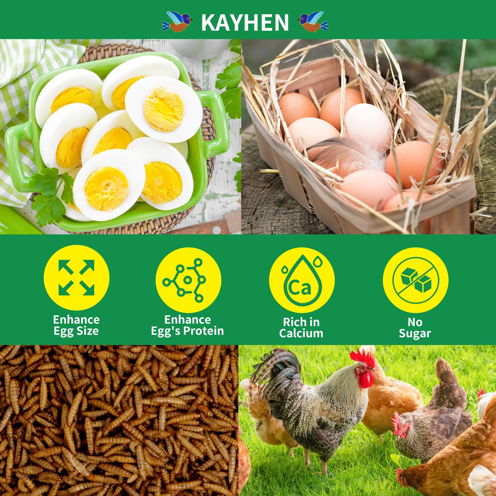 KAYHEN larvas para gallinas, fuente natural de calcio para una puesta saludable.