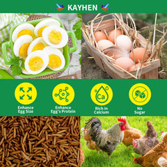 KAYHEN larvas para gallinas, fuente natural de calcio para una puesta saludable.