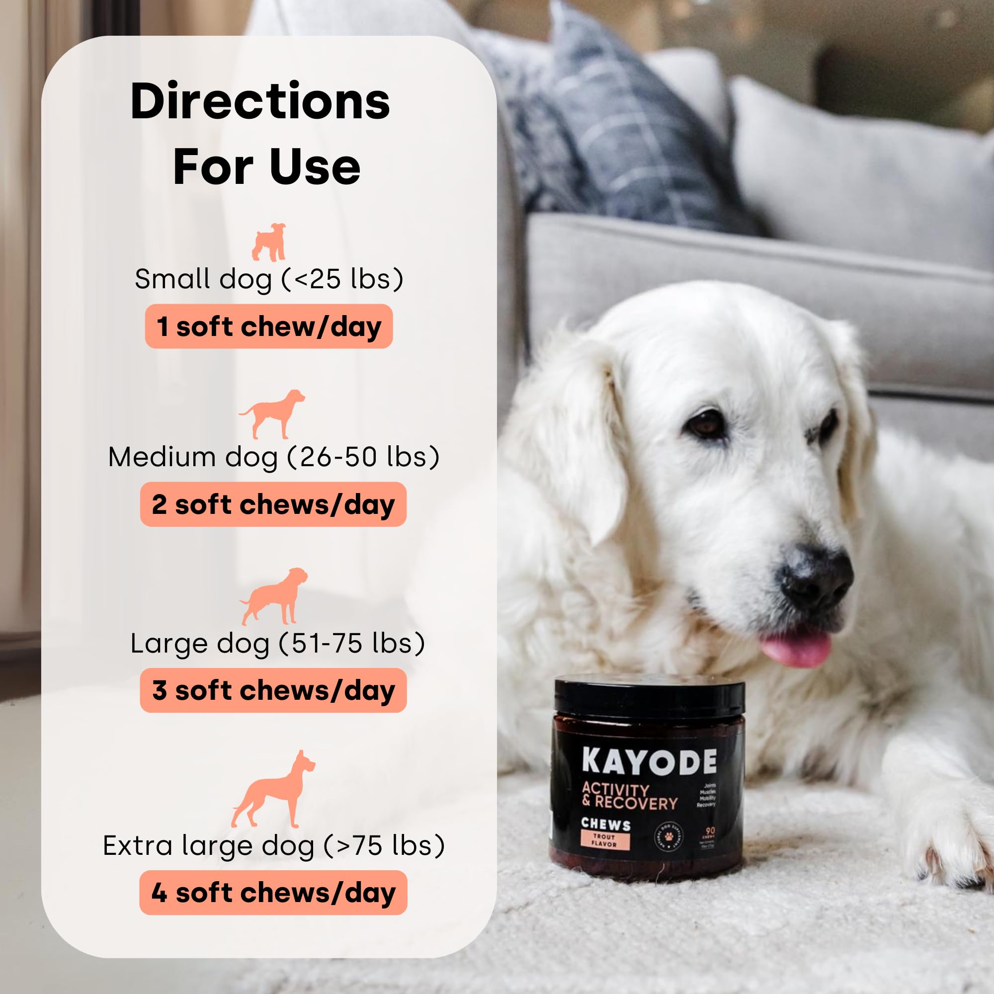 Kayode recompensa saludable: masticable sabroso para entrenamiento con sabor a trucha.