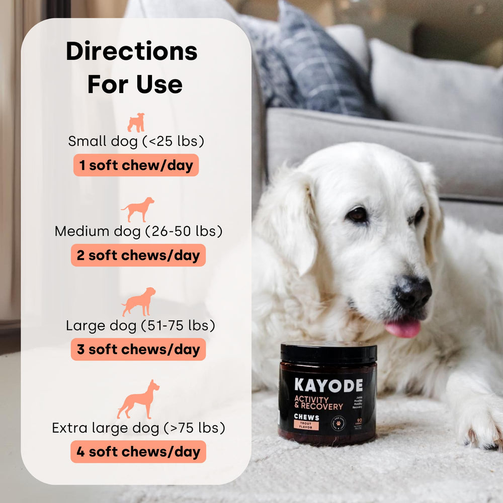 Kayode recompensa saludable: masticable sabroso para entrenamiento con sabor a trucha.