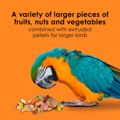 Kaytee Fiesta Big Bites Macaw ingredientes premium para aves de pico grande