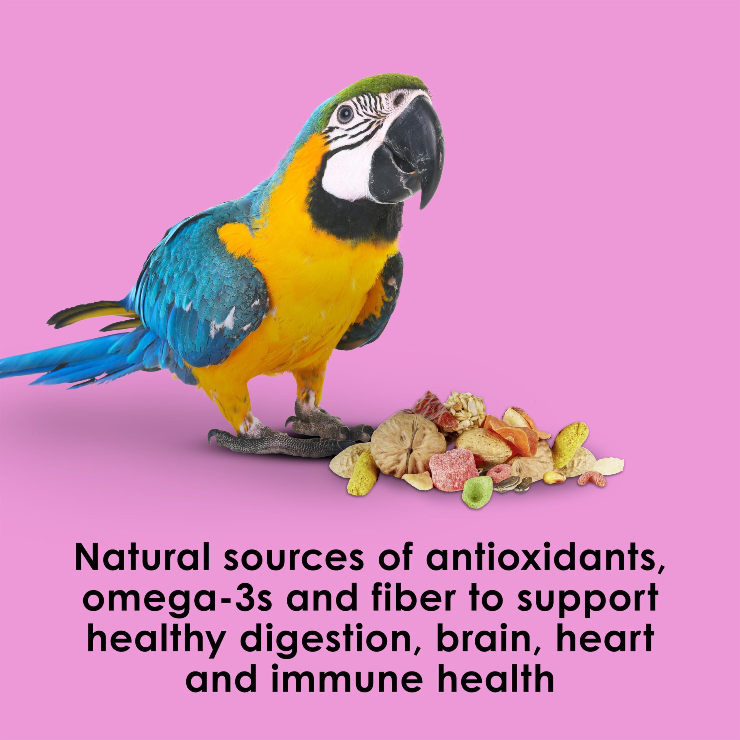 Kaytee Fiesta Big Bites Macaw omega-3 para salud cerebral y cardíaca