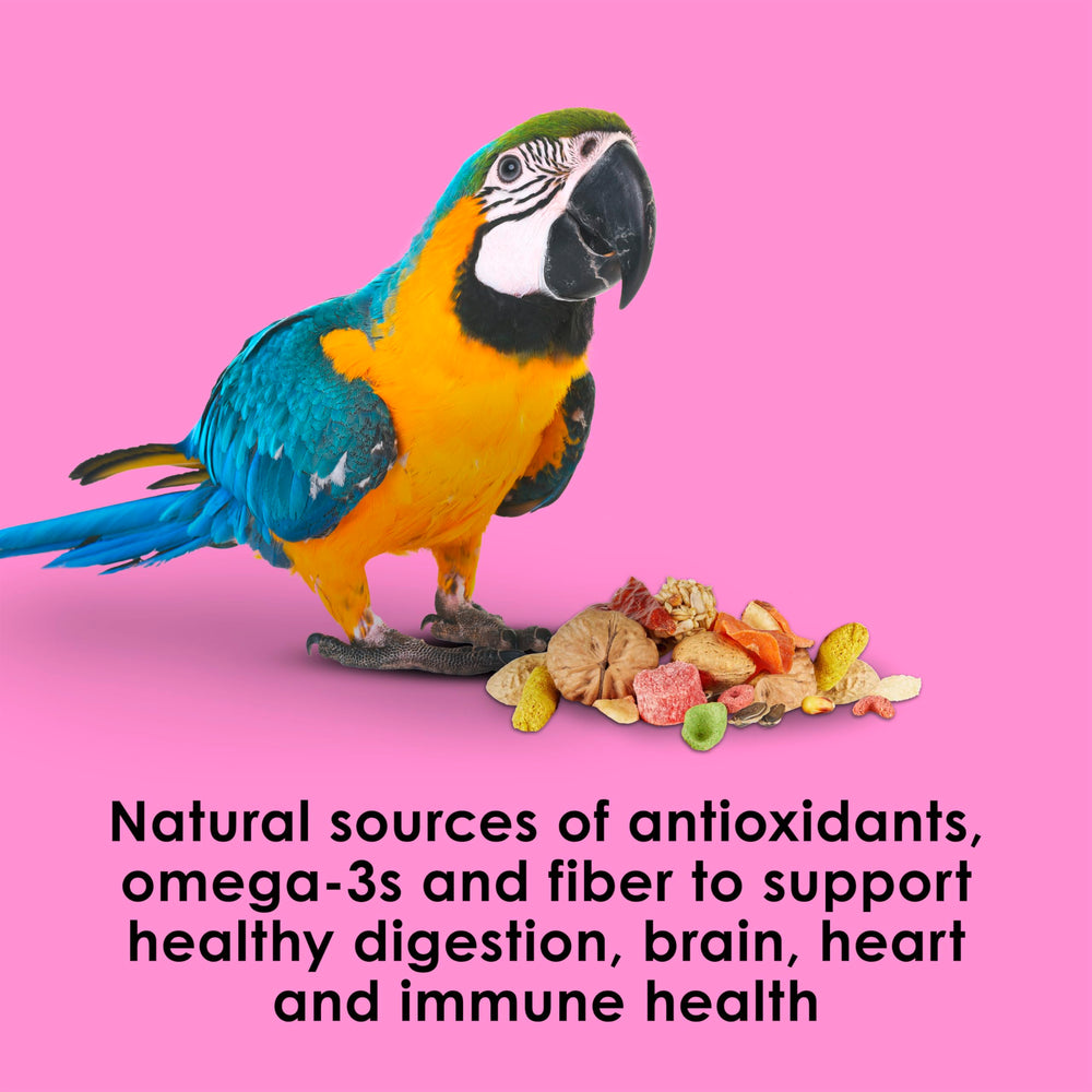 Kaytee Fiesta Big Bites Macaw omega-3 para salud cerebral y cardíaca