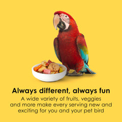 Kaytee Fiesta Big Bites Macaw texturas y formas que fomentan el forraje
