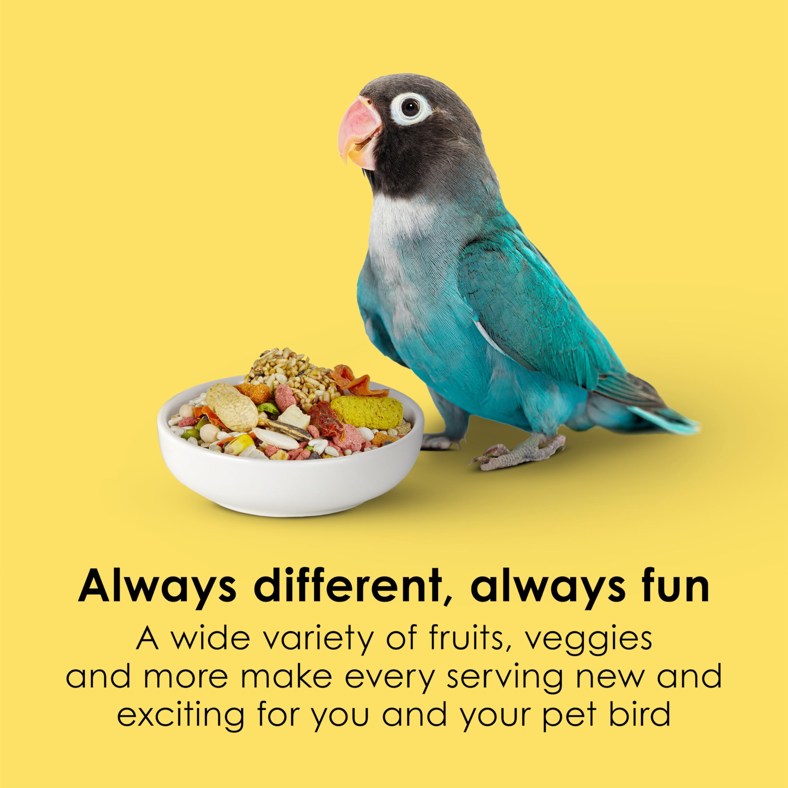 Kaytee Fiesta: bocados-grandes-aves-pico-grande, diseñado para aves de pico grande con sabor premium