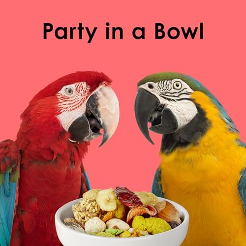 Kaytee Fiesta Macaw Food estimula el forrajeo y la exploración alimentaria