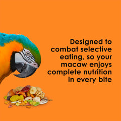 Kaytee Fiesta Macaw Food con omega-3 y probióticos para soporte digestivo y bienestar