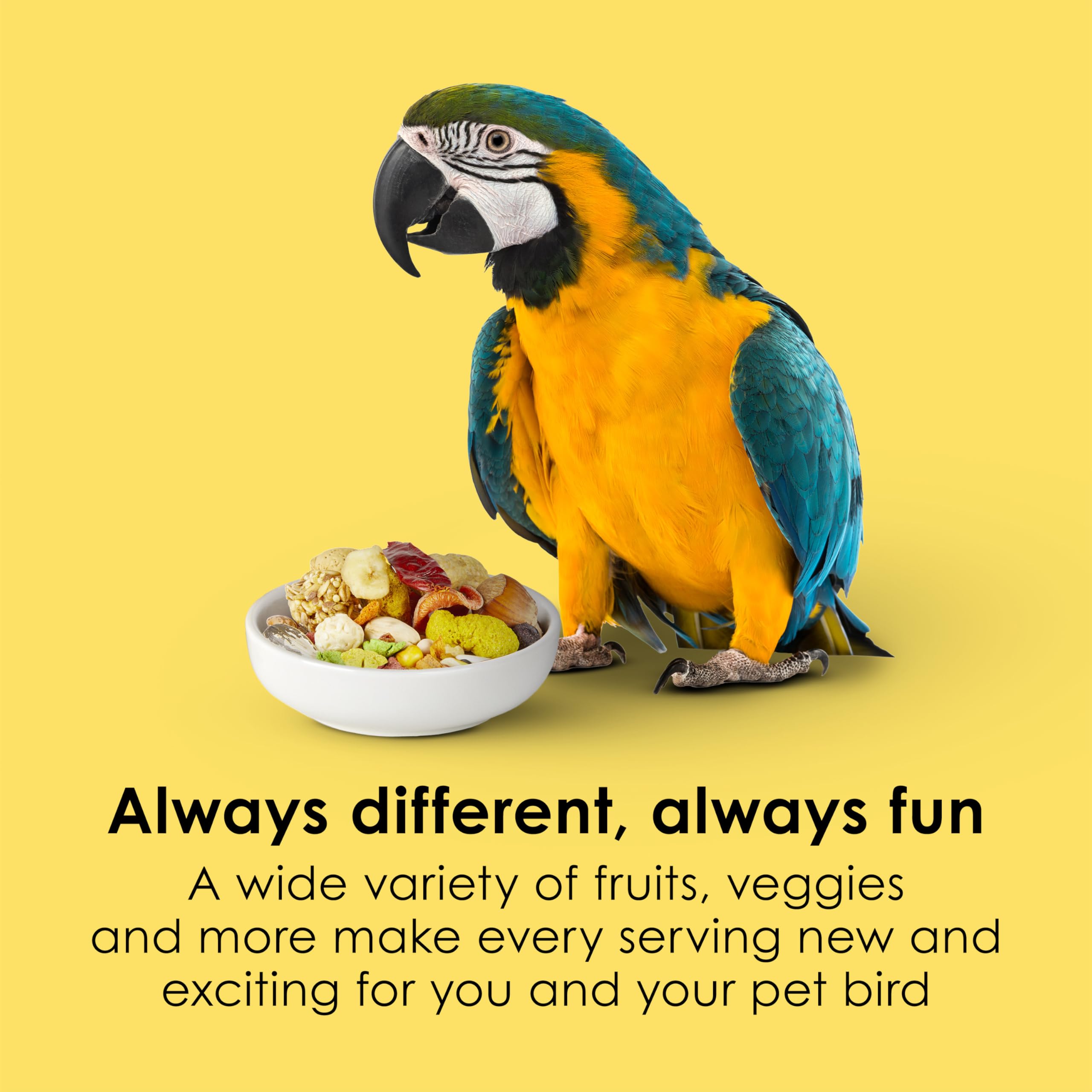Kaytee Fiesta Macaw Food con texturas y formas divertidas para mantener al ave interesada