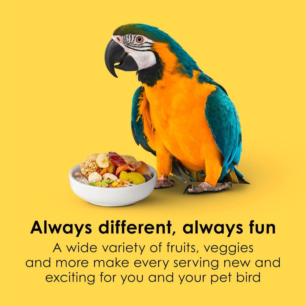 Kaytee Fiesta Macaw Food con texturas y formas divertidas para mantener al ave interesada
