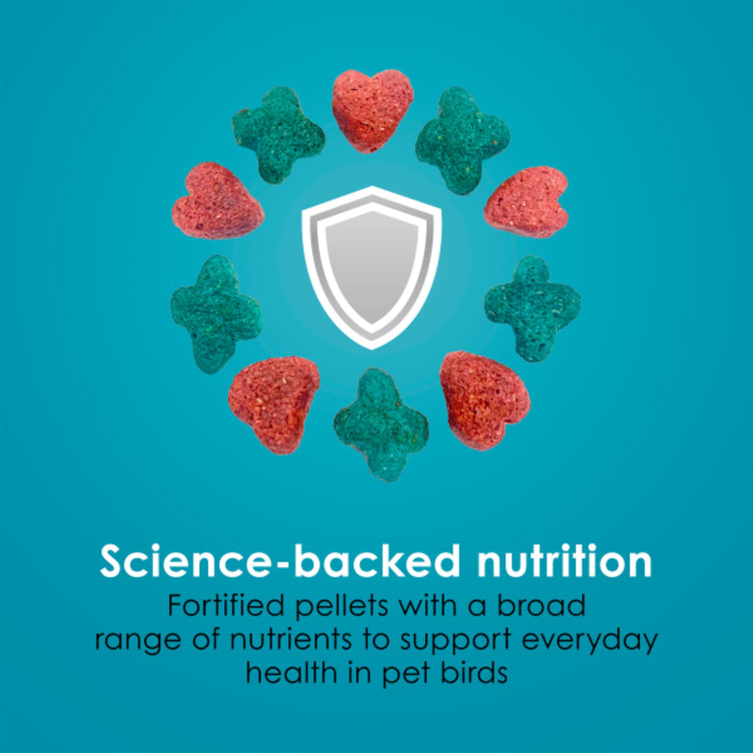 Omega-3 y antioxidantes, apoyo a la salud cerebral e inmunitaria.