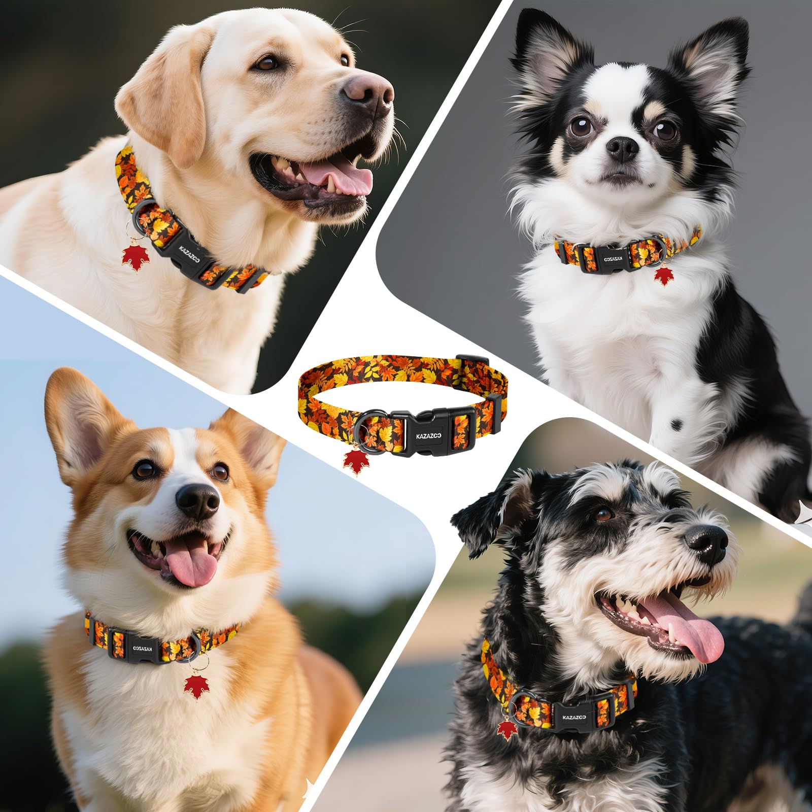 Kazazoo collar ligero para perros activos.