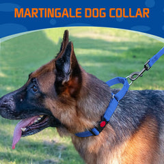 Kazazoo collar martingale con ajuste suave y cómodo para el cuello en crecimiento del perro.