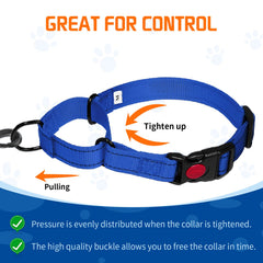 Kazazoo collar martingale resistente, diseñado para uso diario y paseos sin tirar.