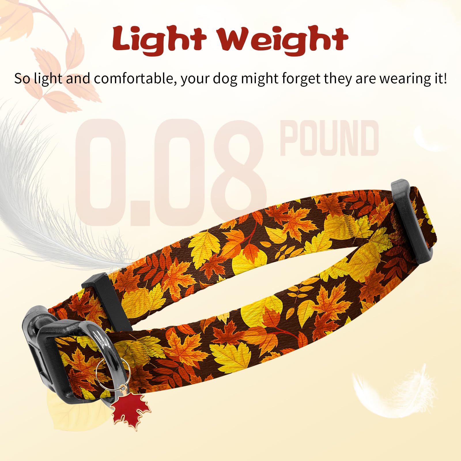 Kazazoo collar ajustable M para perros medianos.