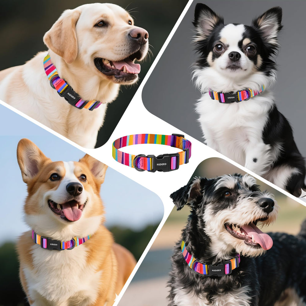 Collar Kazazoo con anilla en D de alta resistencia