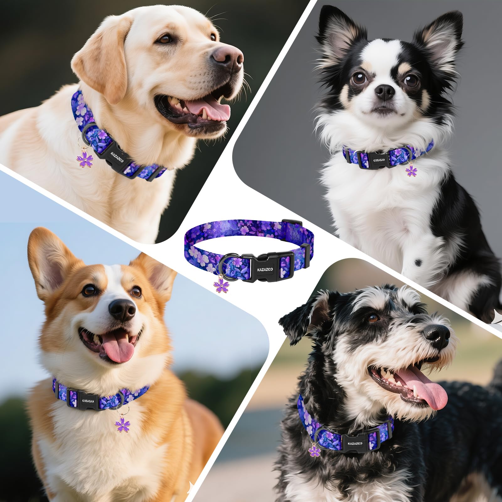Collar Kazazoo con bordes suaves que reducen rozaduras