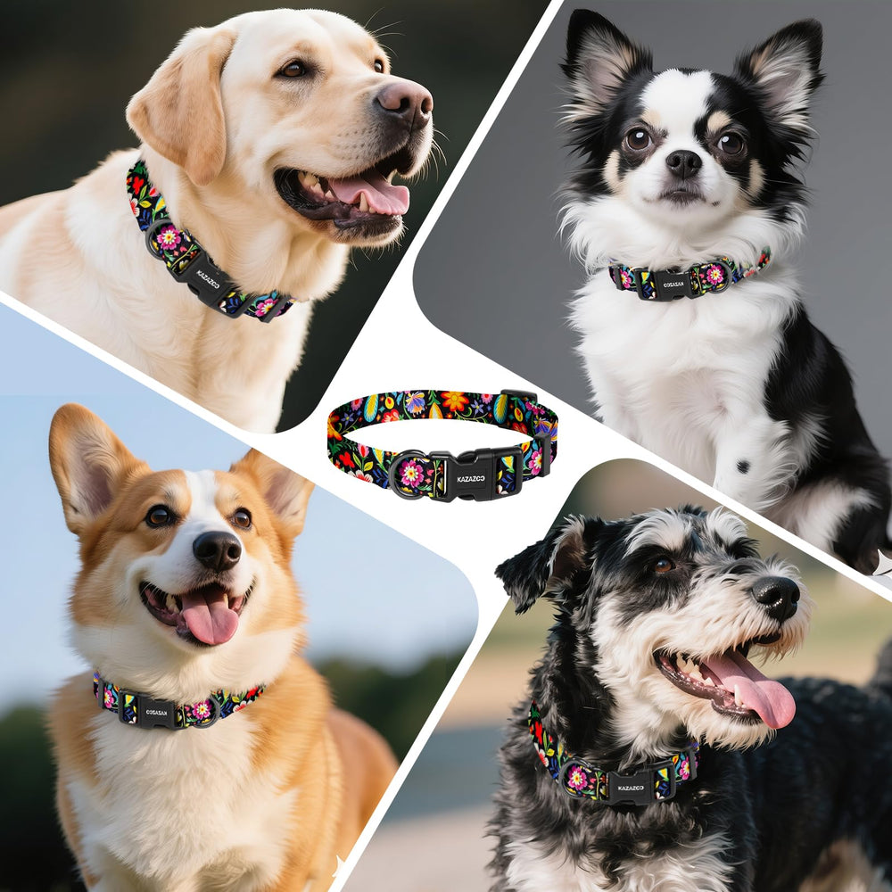 Collar ligero Kazazoo para perros activos