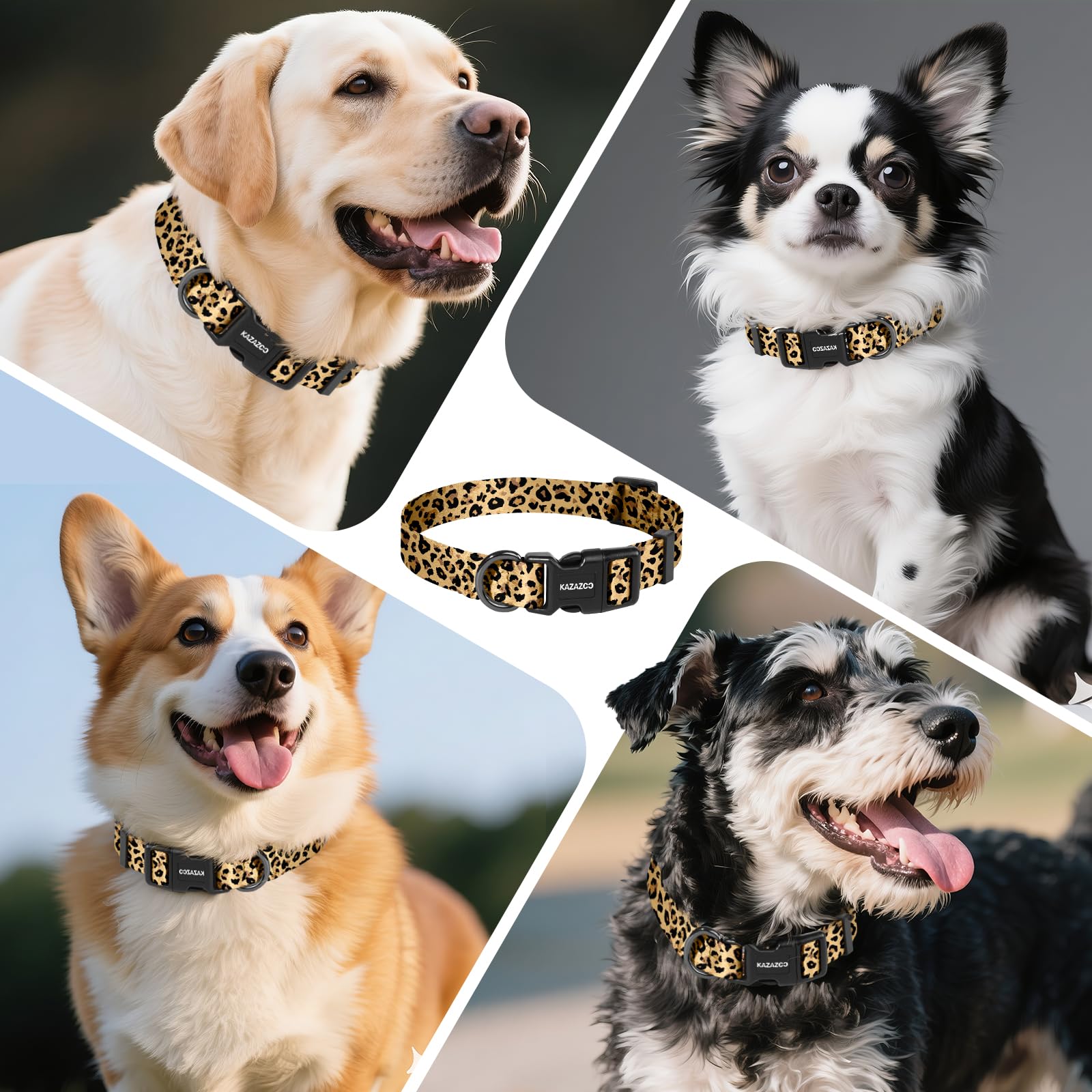 Uso diario y paseo con Kazazoo, collar ligero y cómodo.