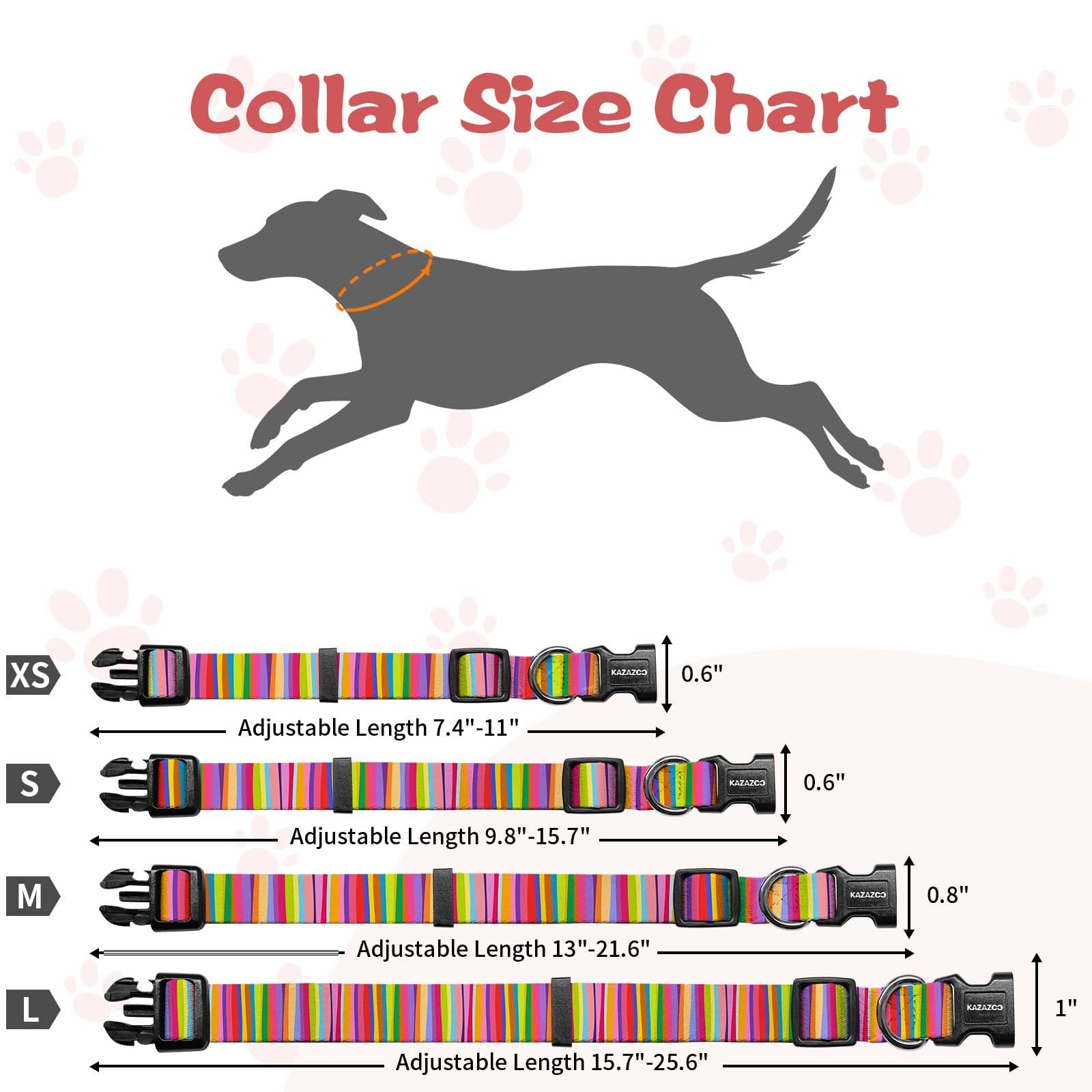 Collar Kazazoo ideal para paseos diarios y entrenamiento