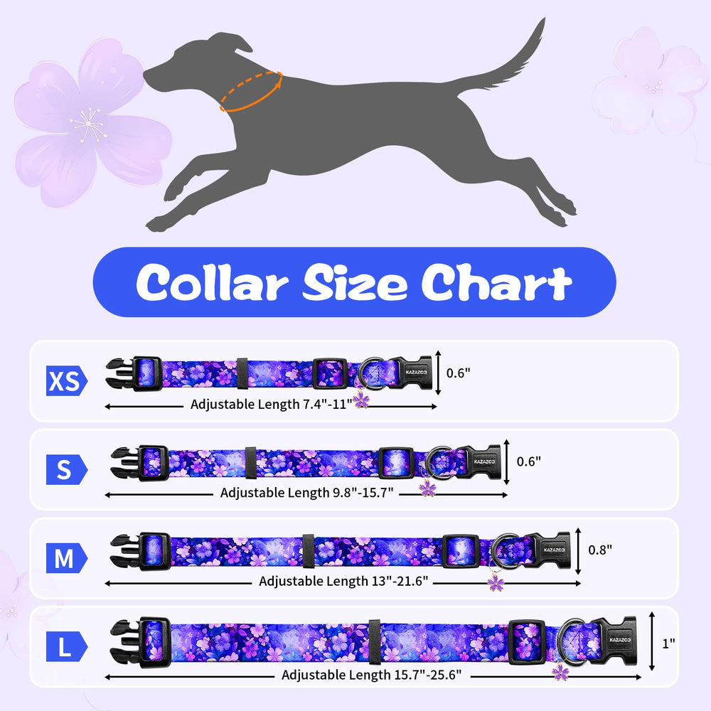 Collar Kazazoo para uso diario, paseos y entrenamiento