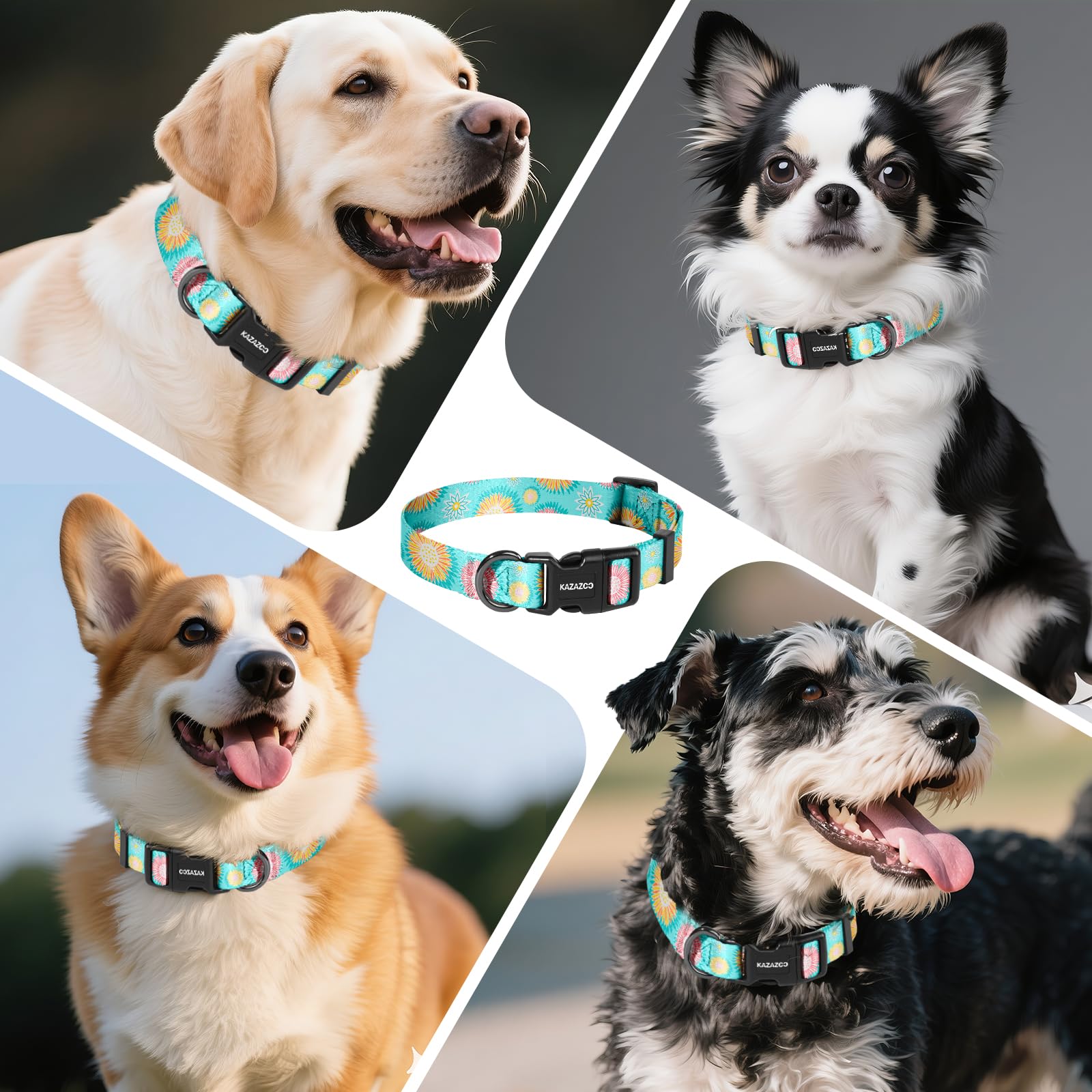Kazazoo collar, uso diario para paseos y entrenamiento.