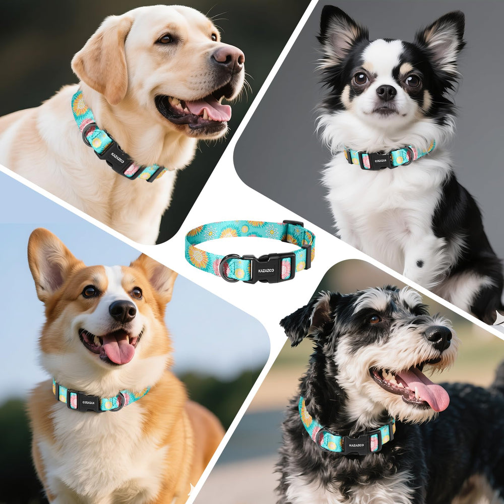 Kazazoo collar para uso diario, perfecto para paseos y entrenamiento