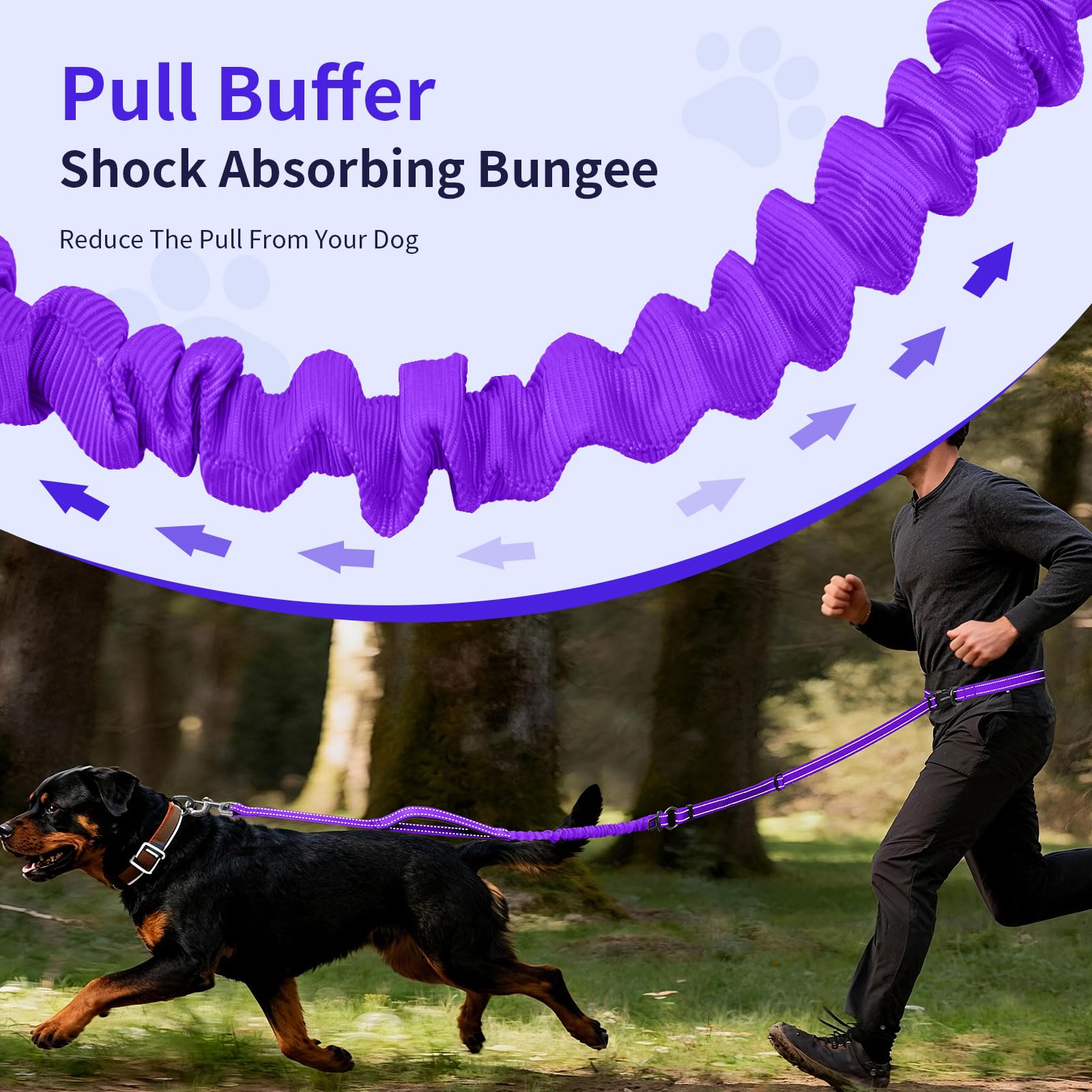 Kazazoo correa bungee duradera para perros grandes