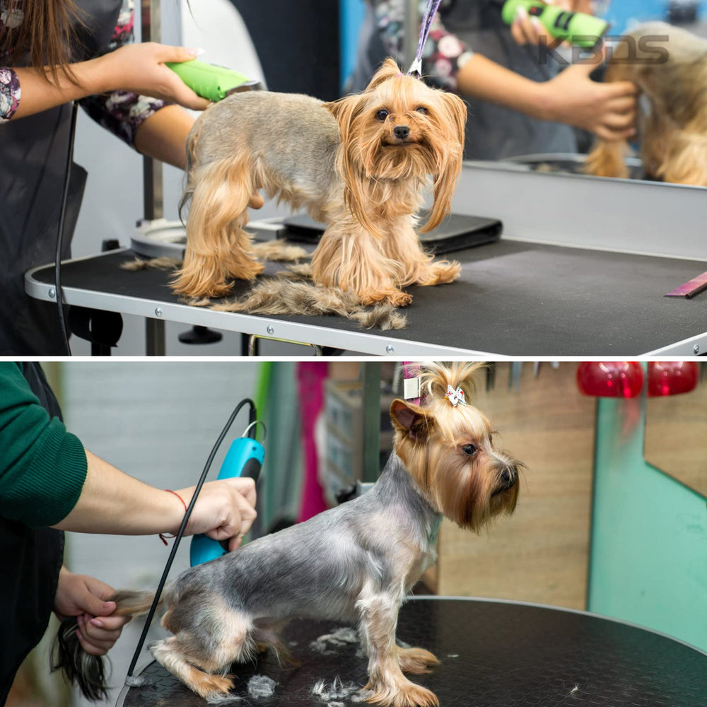 Uso profesional en peluquería de mascotas KBDS.