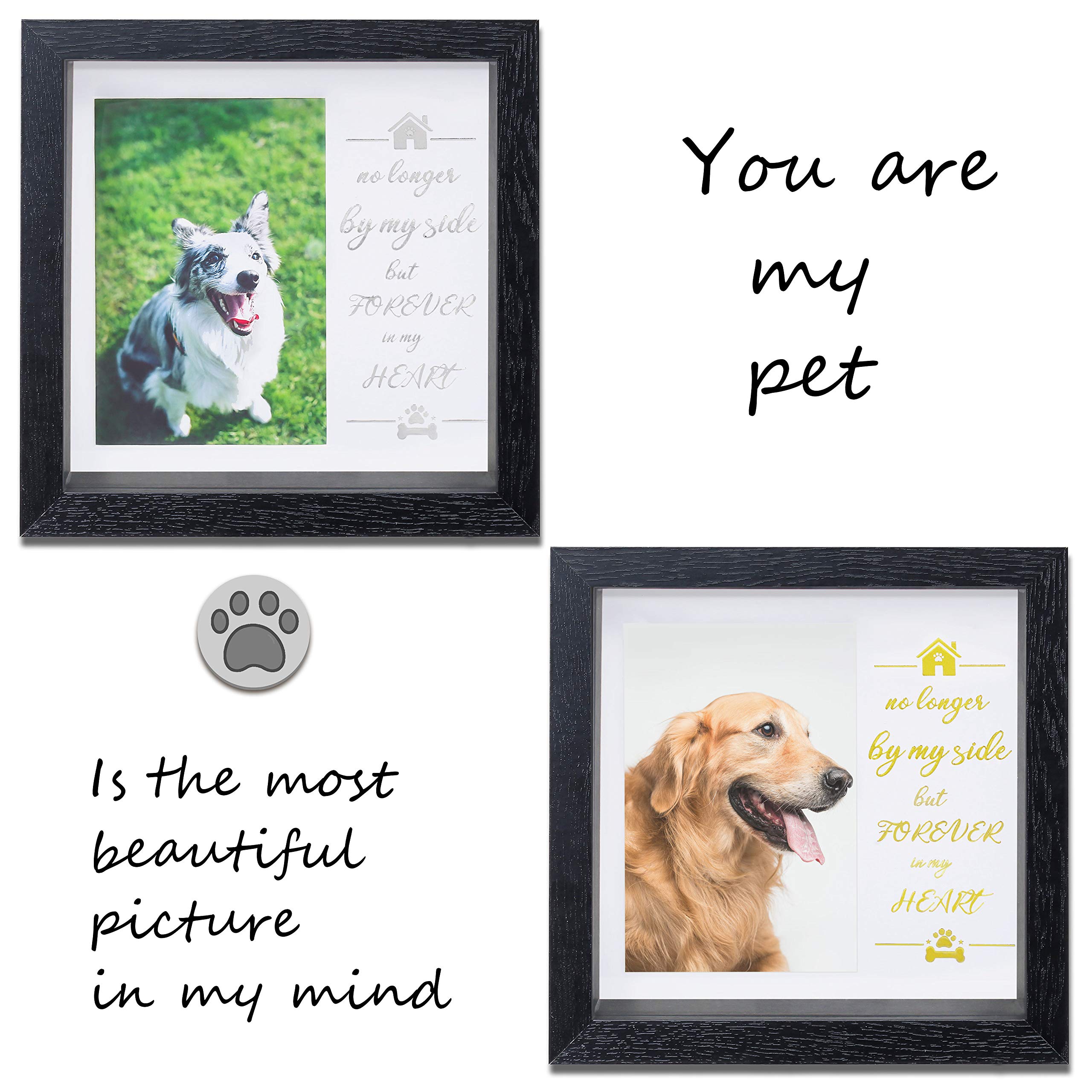 KCRasan paneles collar mascota 0-8-1-1-1-9, exhibe collar junto a la foto.