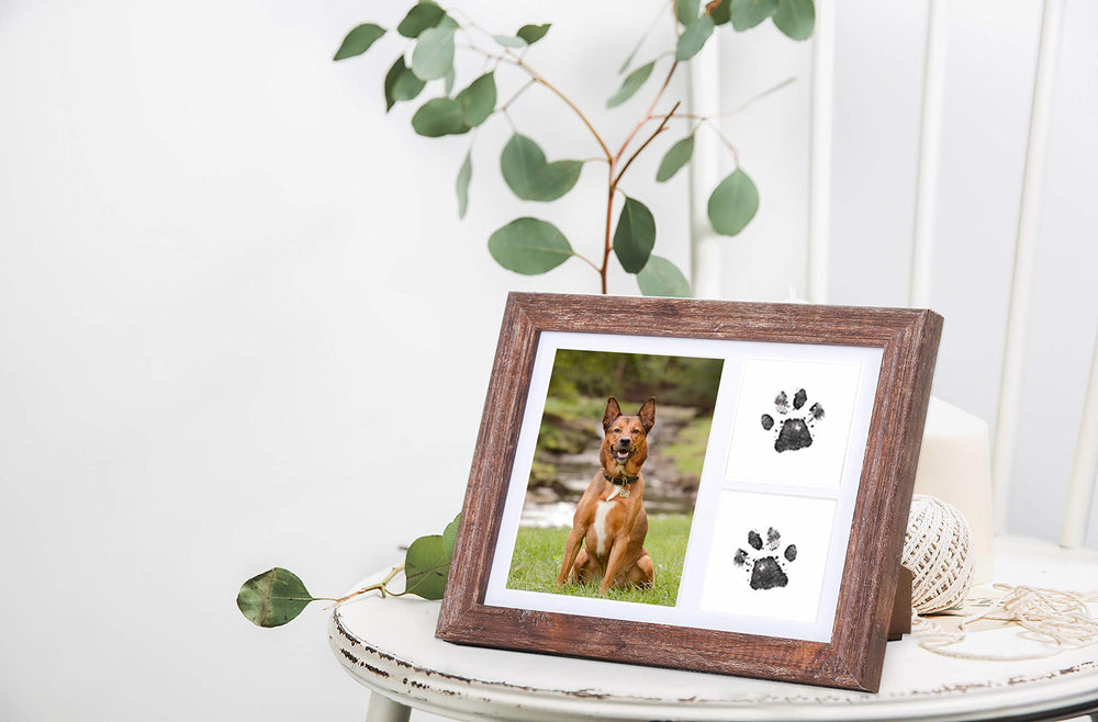 KCRasan tinta sin tóxico para huellas, seguro para la piel de tu mascota
