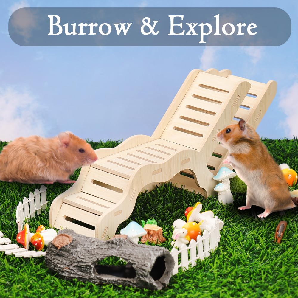 Kcrygogo Explorador Hamster caseta de observación integrada