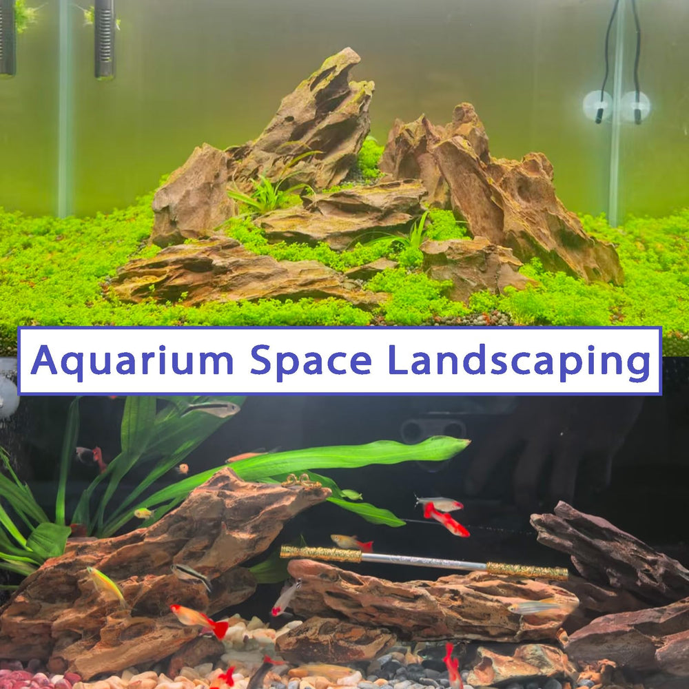 Kecilke Dragon Stone porosa, refugio para peces pequeños y plantas.
