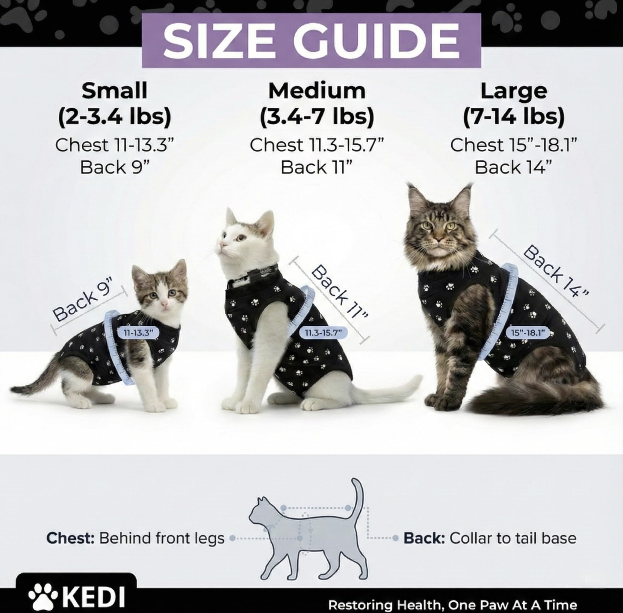 Kedi Cats Solutions, diseño para torso, protege la herida sin cubrir genitales femeninos