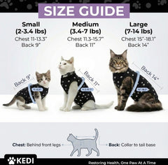 Kedi Cats Solutions, diseño para torso, protege la herida sin cubrir genitales femeninos