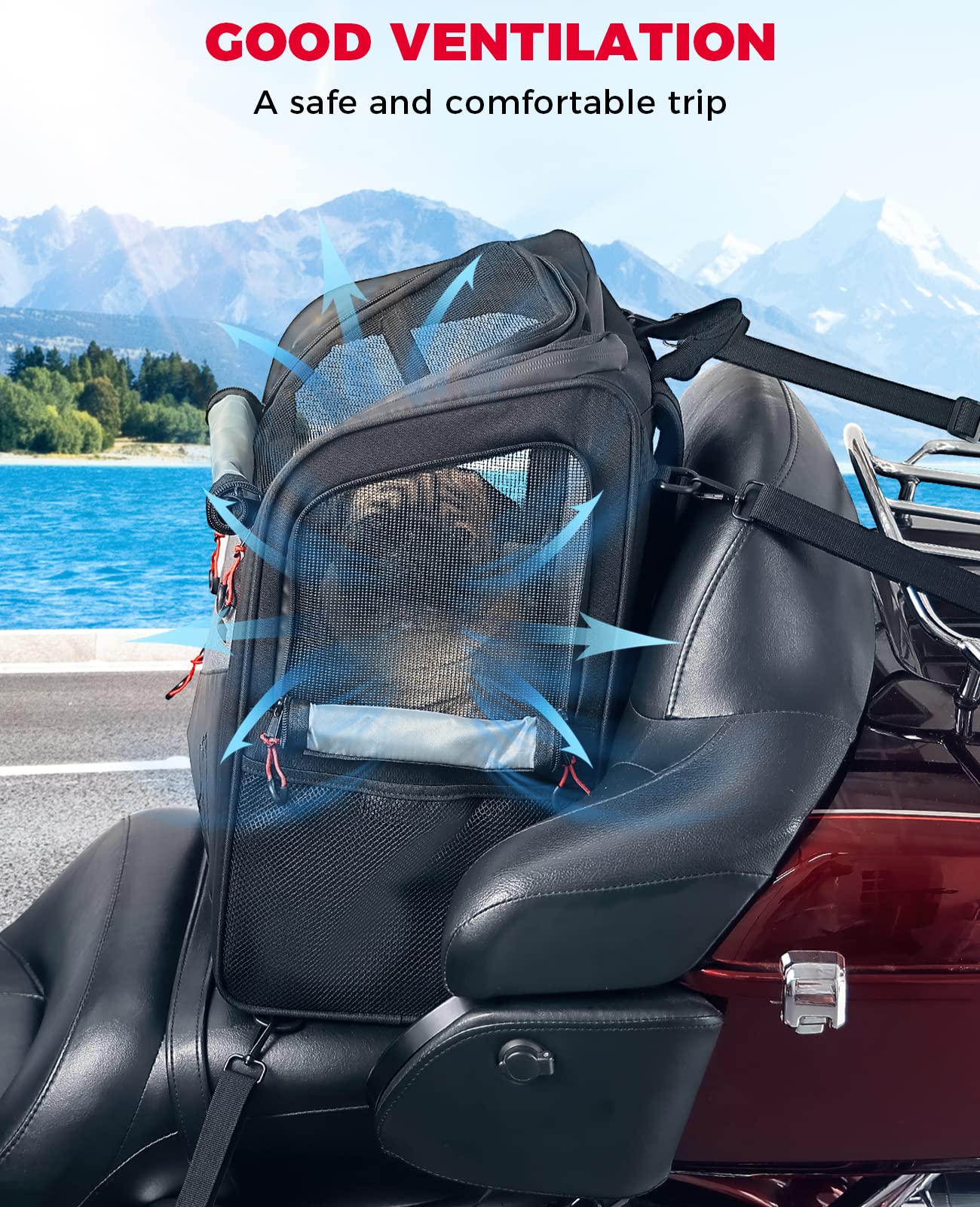 KEMIMOTO mochila para perro en moto, seguridad interna para evitar escapes.