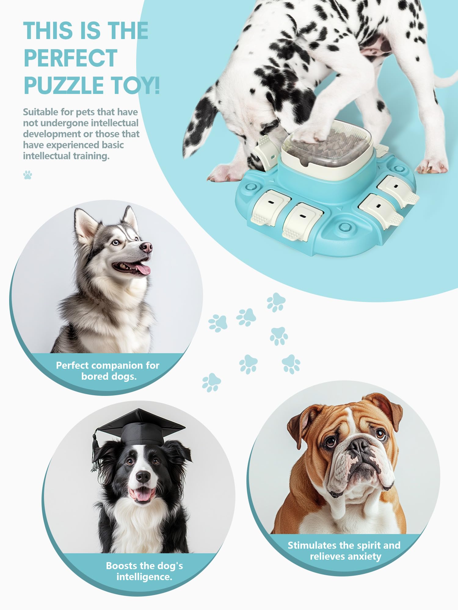 Kenida Dog Puzzle: base con contenedores multipropósito para premiar y fomentar comer despacio.