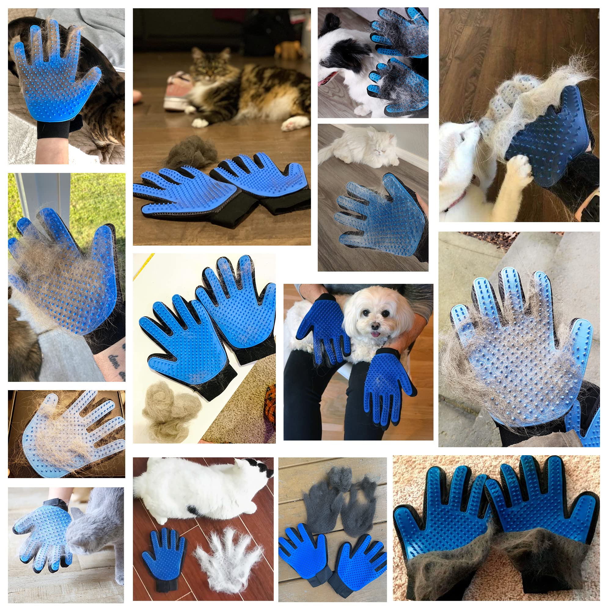 Regalo Kennels & Kats para amantes de mascotas con pelo de cualquier longitud