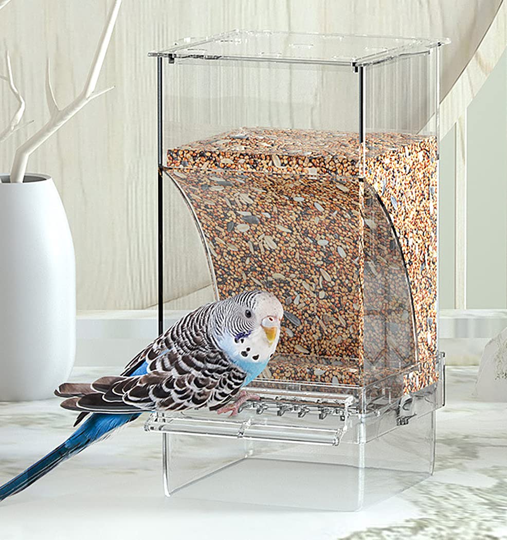 Kenond diseño cristalino para aves pequeñas, fomenta higiene y consumo adecuado.