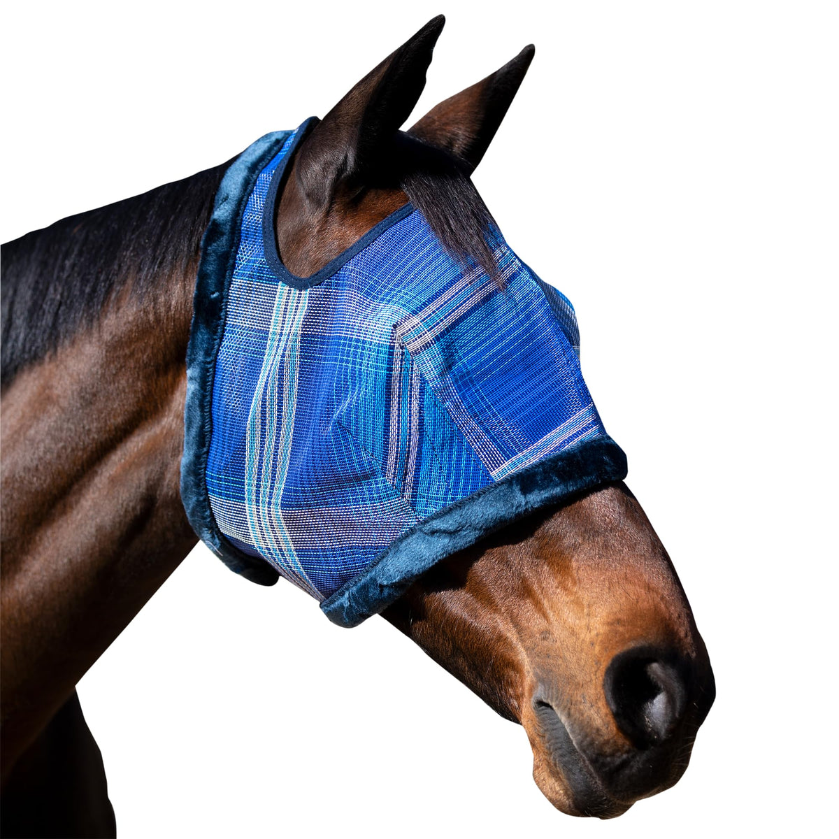 Kensington Fly Mask protege la cara del caballo y mantiene visibilidad total