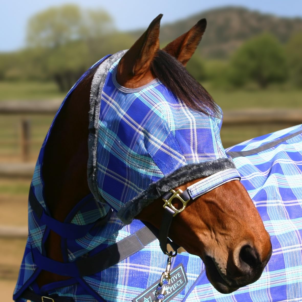 Protección solar de 73% para cara y ojos durante cabalgatas al aire libre