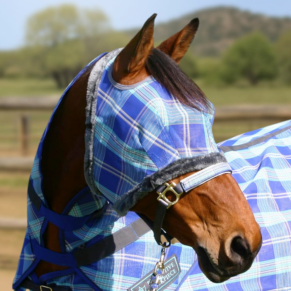 Protección solar de 73% para cara y ojos durante cabalgatas al aire libre